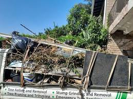 Professional Junk Removal Services in North Sarasota, FL